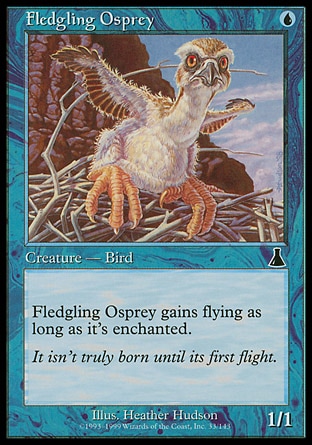 【ENG】《初羽鶚/Fledgling Osprey》[天命之戰]