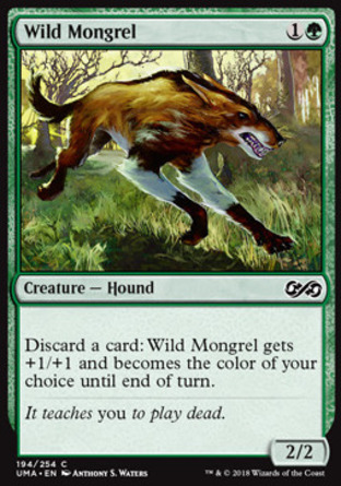 【JPN】《野雜種狗/Wild Mongrel》[終極大師]