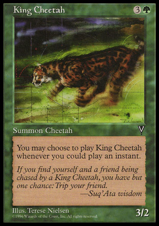 【ENG】《帝王獵豹/King Cheetah》[憧憬]