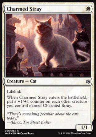 【JPN】《迷人野貓/Charmed Stray》[火花之戰]