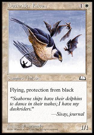 【ENG】《暮騎兵獵鷹/Duskrider Falcon》[晴空號傳說]