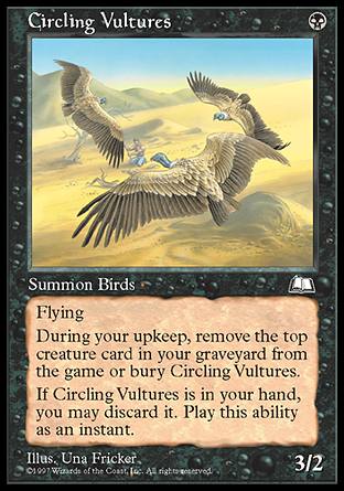 【CHT】《盤旋的禿鷹/Circling Vultures》[晴空號傳說]