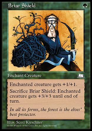 【ENG】《荊棘盾/Briar Shield》[晴空號傳說]