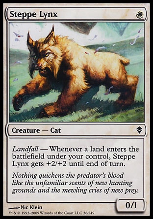 【JPN】《草原山貓/Steppe Lynx》[贊迪卡]