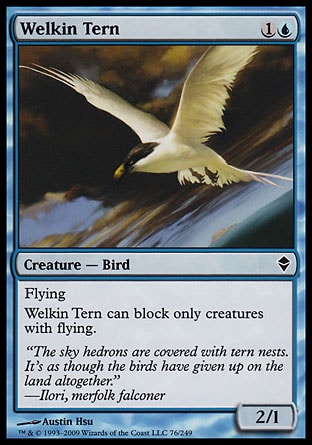 【JPN】《蒼穹飛燕/Welkin Tern》[贊迪卡]