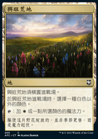 【CHT】《強旺荒地/Thriving Heath》[被遺忘國度指揮官]