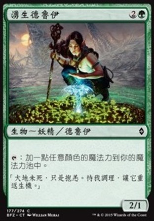 【CHT】《湧生德魯伊/Lifespring Druid》[再戰贊迪卡]