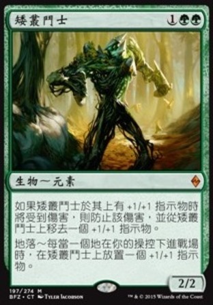 【CHT】《矮叢鬥士/Undergrowth Champion》[再戰贊迪卡]