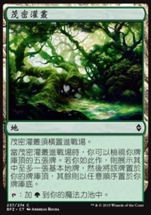 【CHT】《茂密灌叢/Fertile Thicket》[再戰贊迪卡]