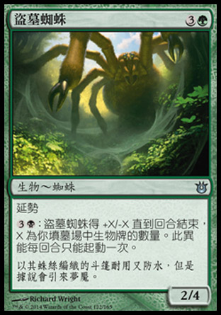 【CHT】《盜墓蜘蛛/Graverobber Spider》[天神創生]