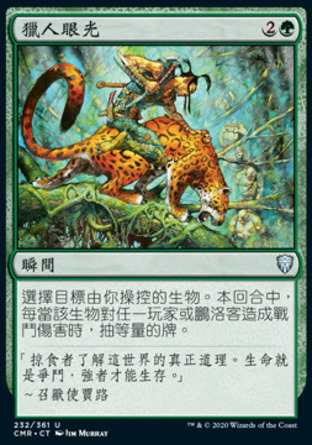 【CHT】《獵人眼光/Hunter's Insight》[指揮官傳奇]