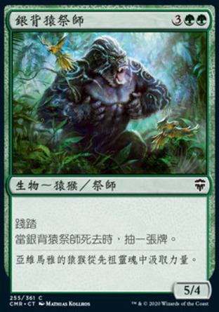 【CHT】《銀背猿祭師/Silverback Shaman》[指揮官傳奇]