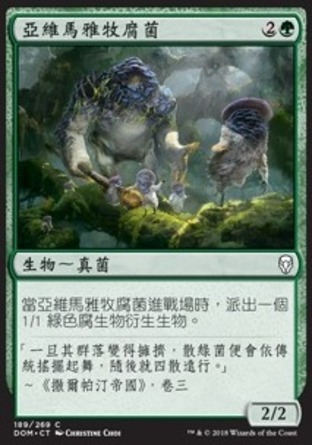 【CHT】《亞維馬雅牧腐菌/Yavimaya Sapherd》[多明納里亞]