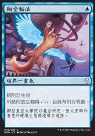 【CHT】《翔空秘法/Arcane Flight》[多明納里亞]