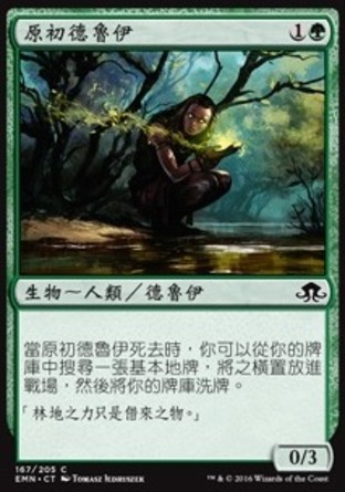 【CHT】《原初德魯伊/Primal Druid》[異月傳奇]