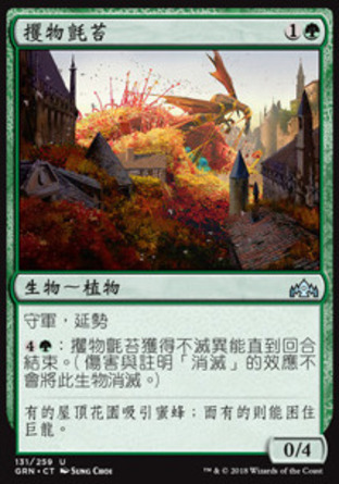 【CHT】《攫物氈苔/Grappling Sundew》[烽會拉尼卡]
