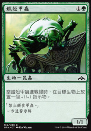 【CHT】《鐵殼甲蟲/Ironshell Beetle》[烽會拉尼卡]