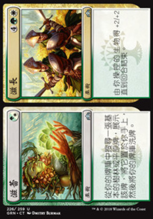 【CHT】《滋蕾+滋長/Flower+Flourish》[烽會拉尼卡]
