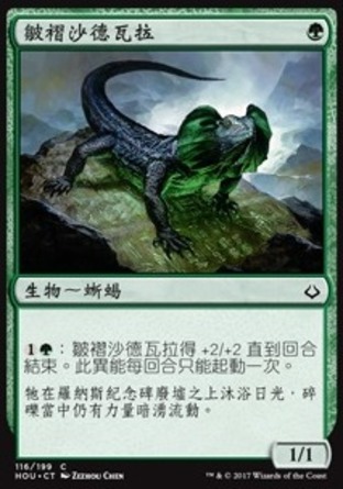 【CHT】《皺褶沙德瓦拉/Frilled Sandwalla》[幻滅時刻]