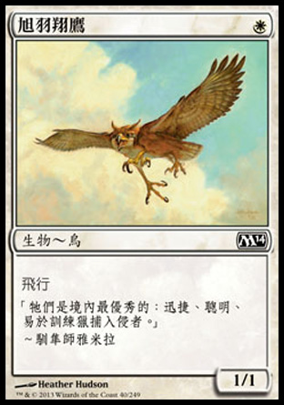 【CHT】《旭羽翔鷹/Suntail Hawk》[核心系列2014]