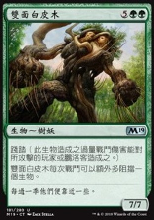 【CHT】《雙面白皮木/Ghastbark Twins》[核心系列2019]