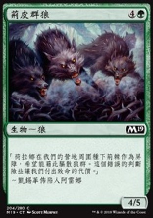 【CHT】《荊皮群狼/Thornhide Wolves》[核心系列2019]