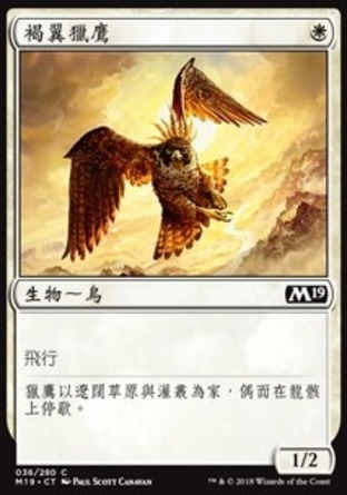 【CHT】《褐翼獵鷹/Rustwing Falcon》[核心系列2019]