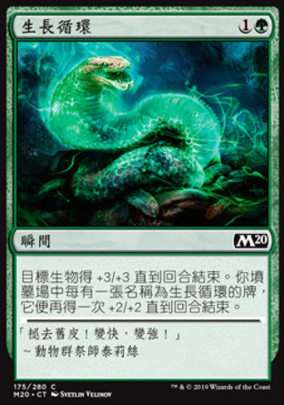 【CHT】《生長循環/Growth Cycle》[核心系列2020]