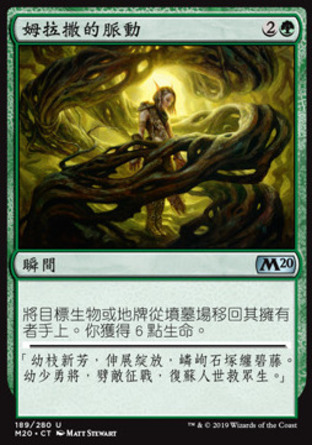 【CHT】《姆拉撒的脈動/Pulse of Murasa》[核心系列2020]