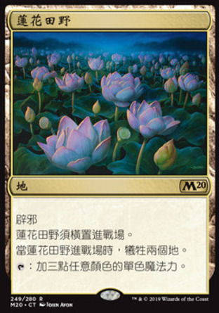 【CHT】《蓮花田野/Lotus Field》[核心系列2020]〔SP〕