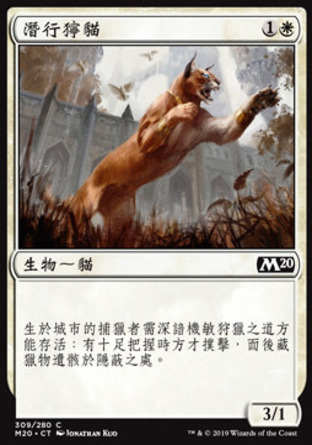 【CHT】《潛行獰貓/Prowling Caracal》[核心系列2020]