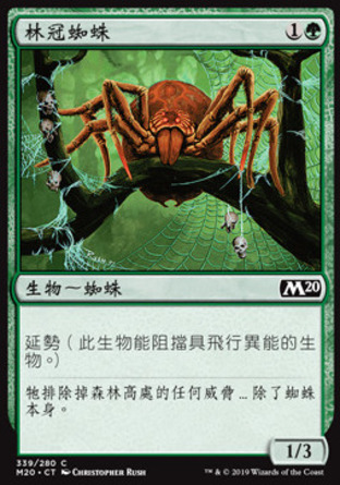 【CHT】《林冠蜘蛛/Canopy Spider》[核心系列2020]