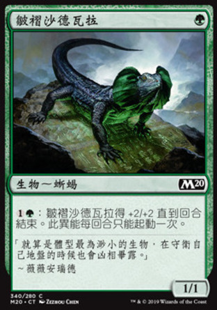 【CHT】《皺褶沙德瓦拉/Frilled Sandwalla》[核心系列2020]