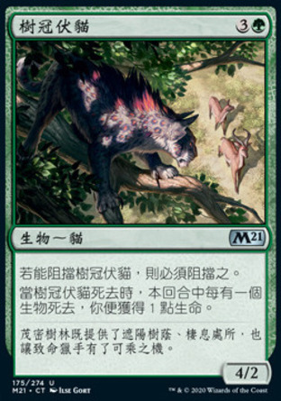 【CHT】《樹冠伏貓/Canopy Stalker》[核心系列2021]