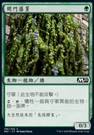 【CHT】《閘門藤蔓/Portcullis Vine》[核心系列2021]
