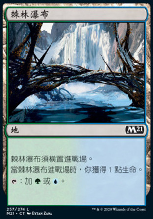 【CHT】《棘林瀑布/Thornwood Falls》[核心系列2021]