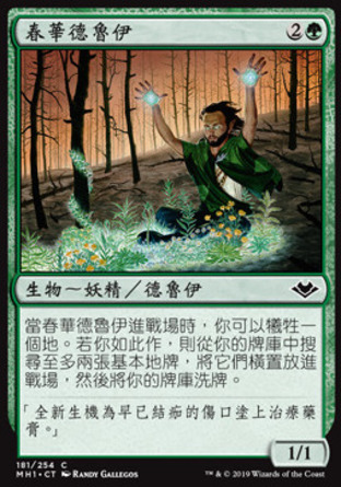 【CHT】《春華德魯伊/Springbloom Druid》[近代新篇]