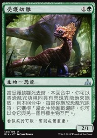 【CHT】《受護幼雛/Cherished Hatchling》[決勝依夏蘭]