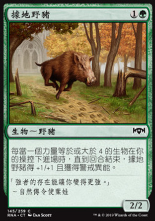 【CHT】《據地野豬/Territorial Boar》[效忠拉尼卡]