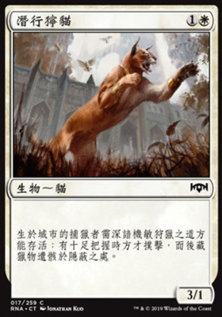 【CHT】《潛行獰貓/Prowling Caracal》[效忠拉尼卡]