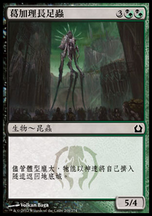 【CHT】《葛加理長足蟲/Golgari Longlegs》[再訪拉尼卡]