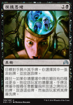 【CHT】《採摘思緒/Pick the Brain》[依尼翠闇影]