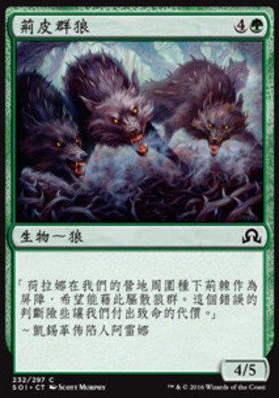 【CHT】《荊皮群狼/Thornhide Wolves》[依尼翠闇影]