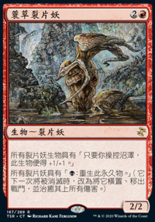 【CHT】《蓑草裂片妖/Sedge Sliver》[時間漩渦：重製版]