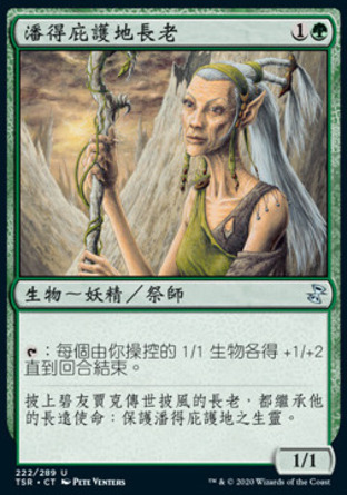 【CHT】《潘得庇護地長老/Pendelhaven Elder》[時間漩渦：重製版]