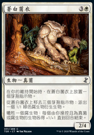 【CHT】《蒼白菌衣/Pallid Mycoderm》[時間漩渦：重製版]