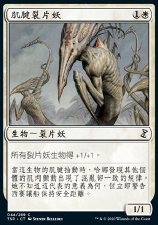 【CHT】《肌腱裂片妖/Sinew Sliver》[時間漩渦：重製版]