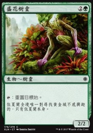 【CHT】《盛花樹靈/Blossom Dryad》[依夏蘭]